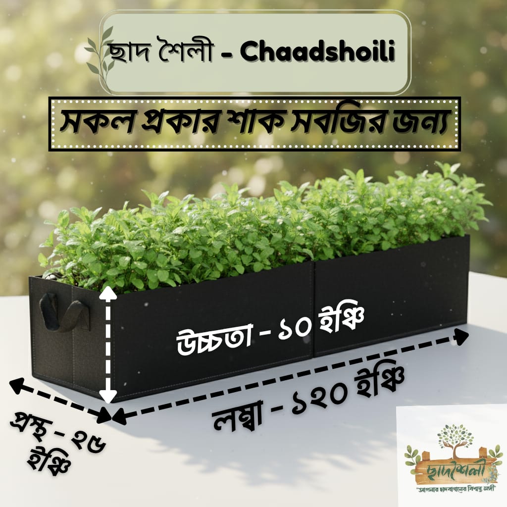 IMG-20250922-WA0050 Square Vegetable Bed (120"x25"x10") - Image 1