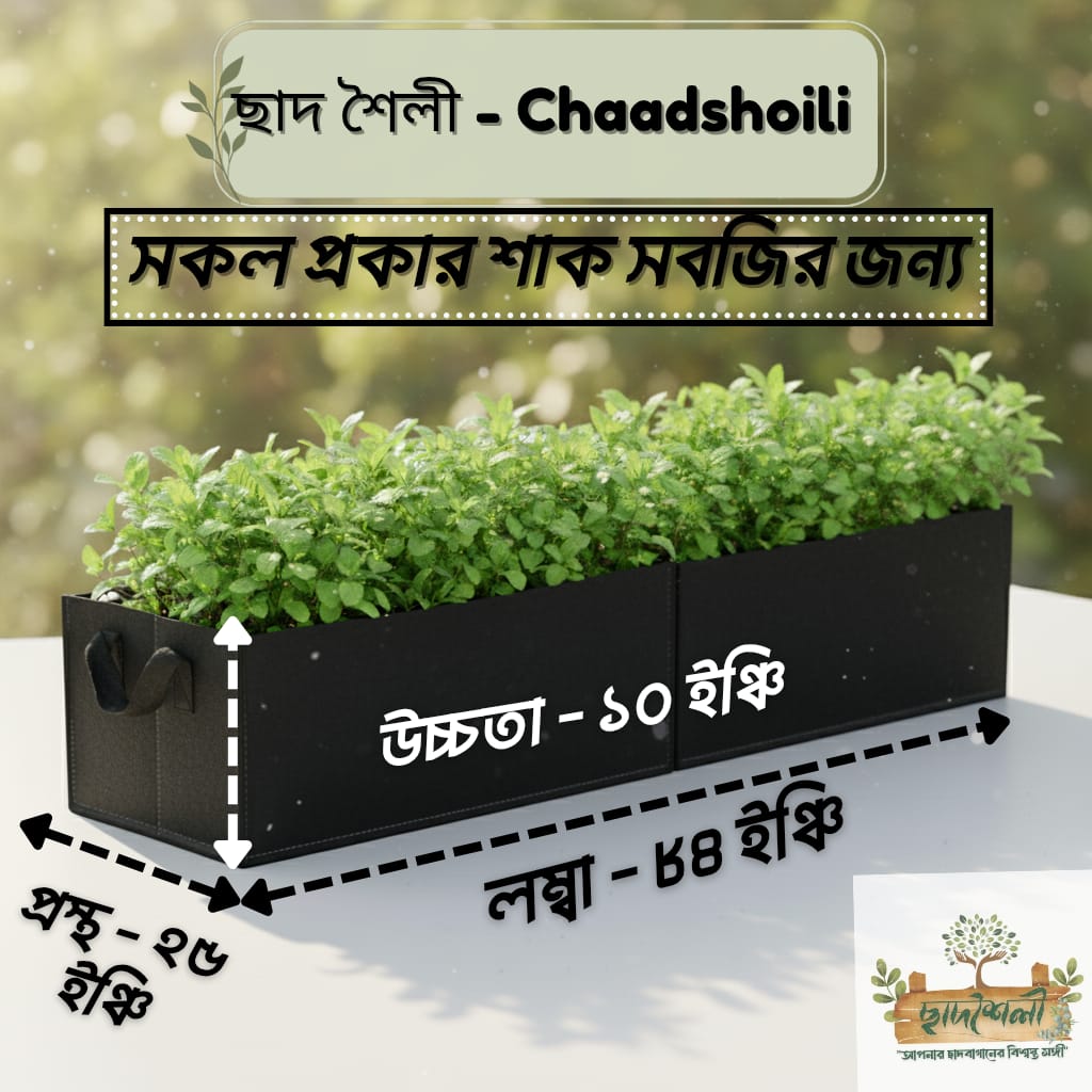 IMG-20250922-WA0053 Square Vegetable Bed (84"x25"x10") - Image 1