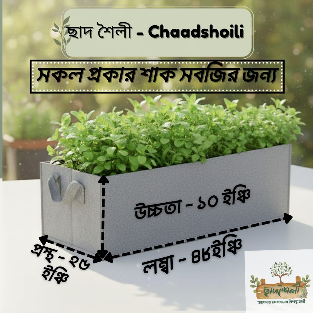 IMG-20250922-WA0054 Square Vegetable Bed (48"x25"x10") - Image 1