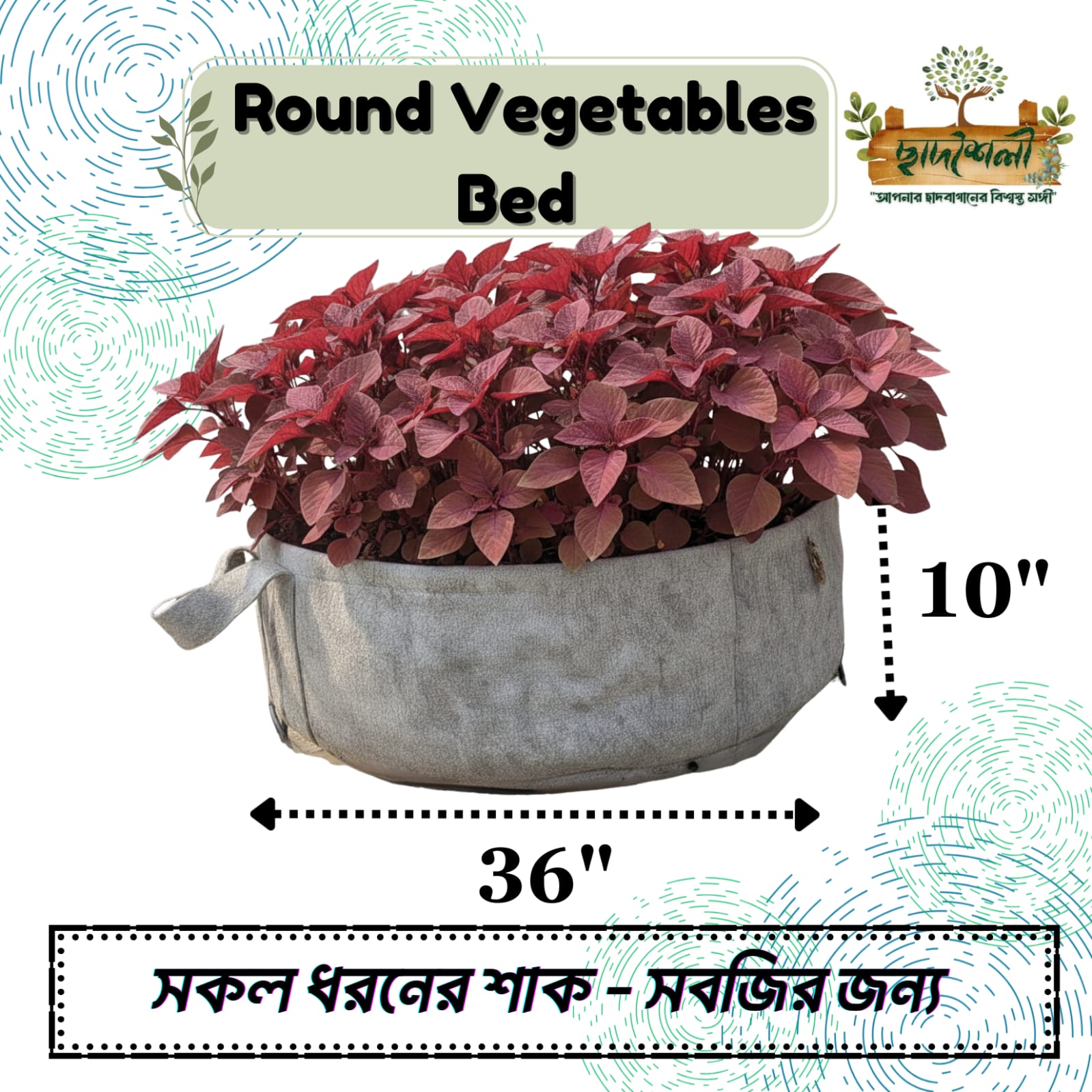 IMG-20250922-WA0057 Round Vegetable Bed (36"x10") - Image 1