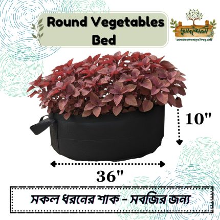 Round Vegetable Bed (36"x10")