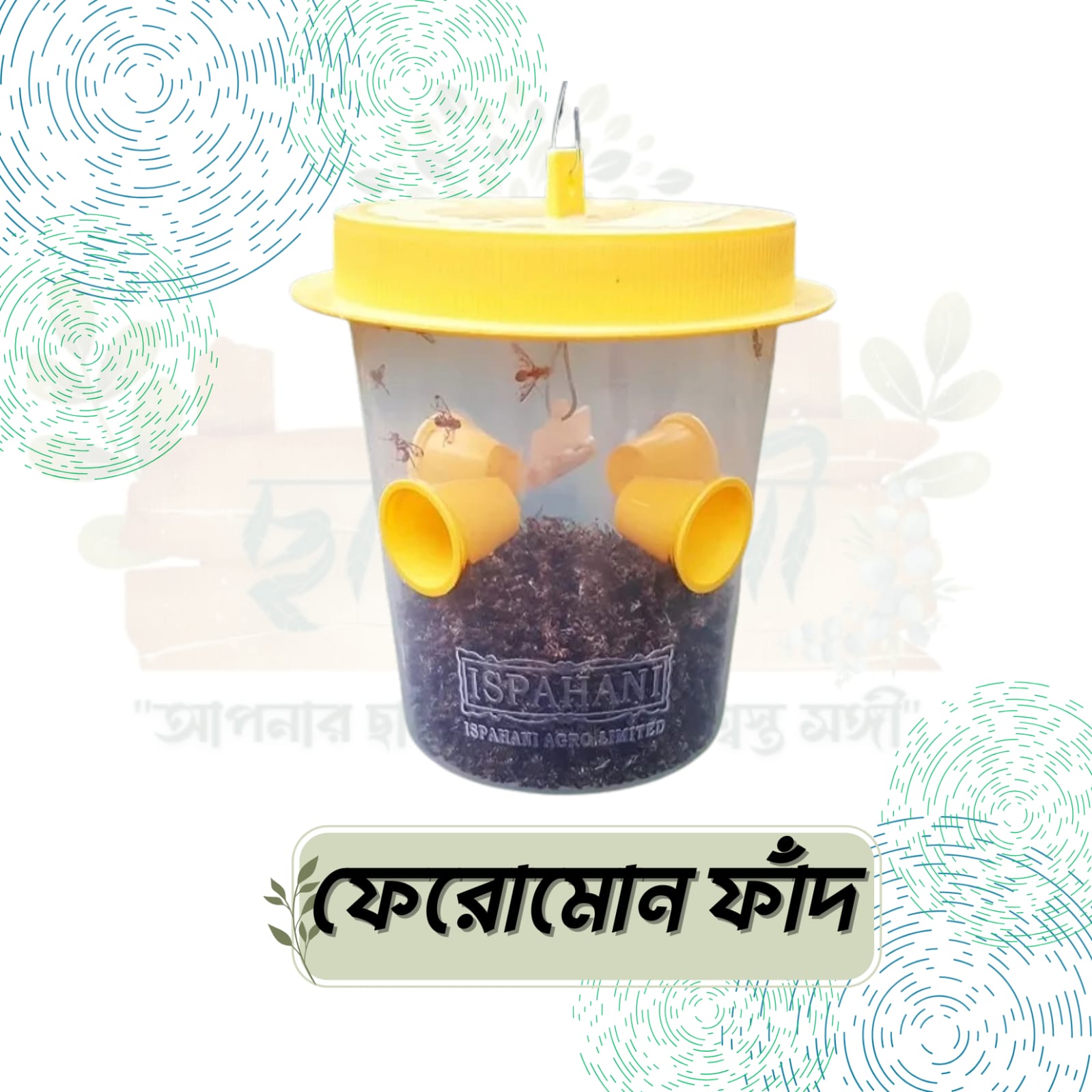 IMG-20250922-WA0172 ফেরোমন ফাঁদ - Image 1