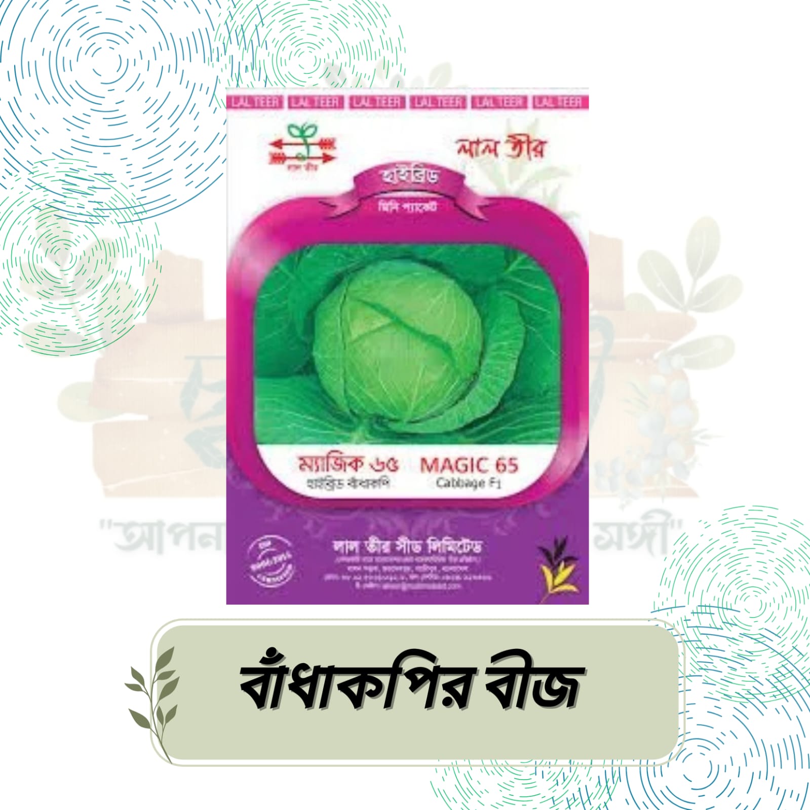 IMG-20250922-WA0177 বাঁধাকপি বীজ - Image 1