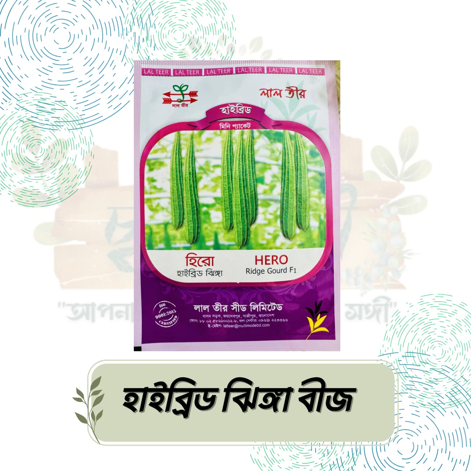 IMG-20250922-WA0184 হাইব্রিড ঝিঙ্গা বীজ - Image 1