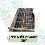 শাক সবজি লাগানোর মাচা