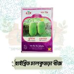হাইব্রিড চালকুমড়া বীজ