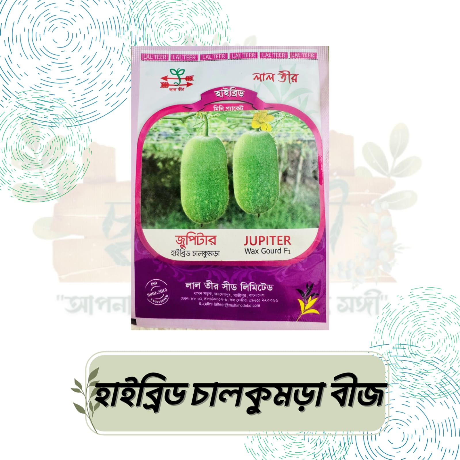 IMG-20250922-WA0193 হাইব্রিড চালকুমড়া বীজ - Image 1