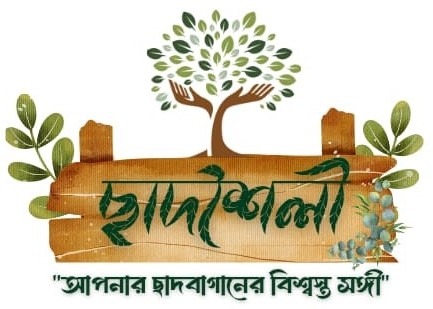 ছাদশৈলী