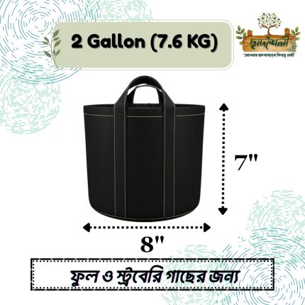 2 Gallon (7.6 KG)