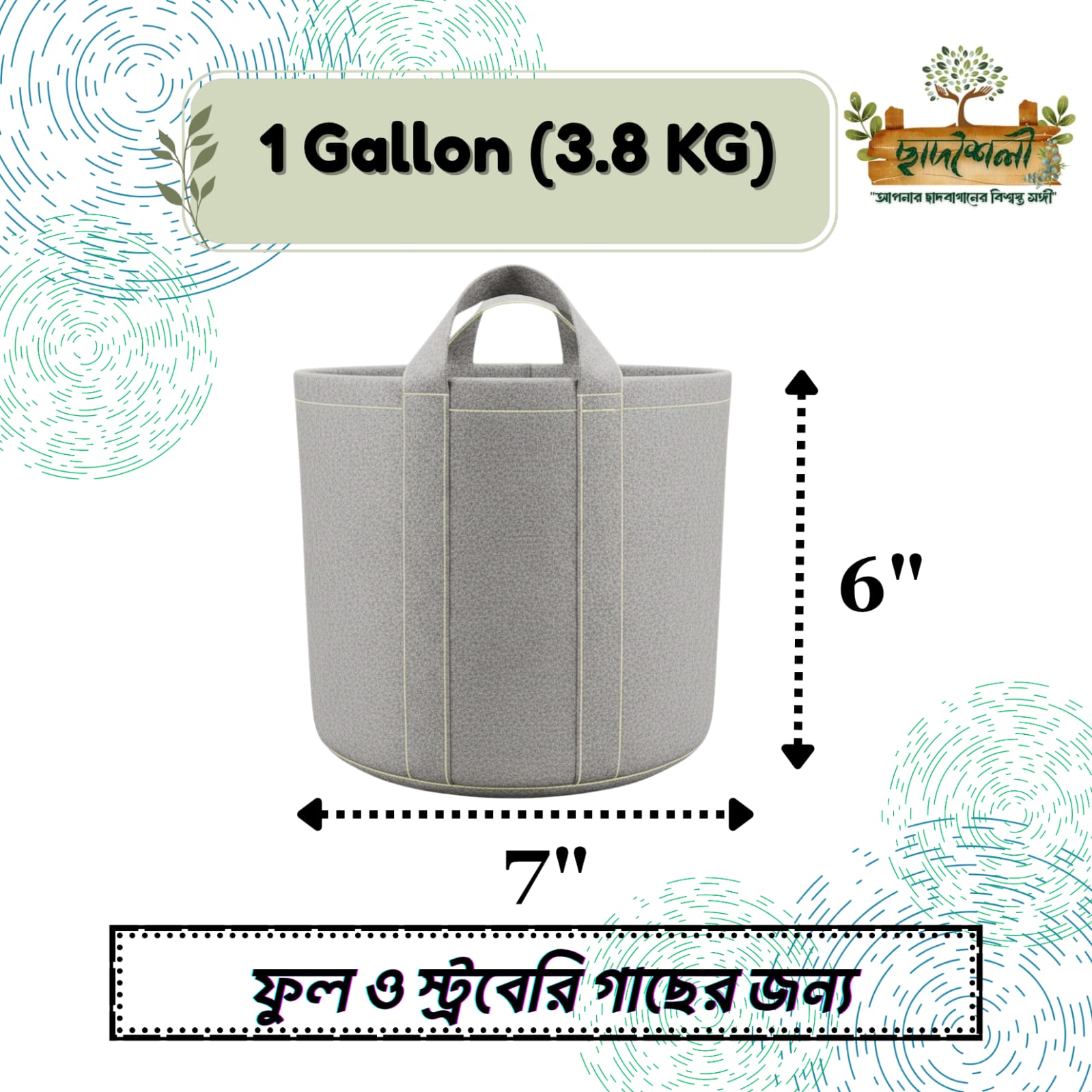 WhatsApp Image 2025-09-20 at 4.59.20 AM 1 Gallon (3.8 KG) - Image 1