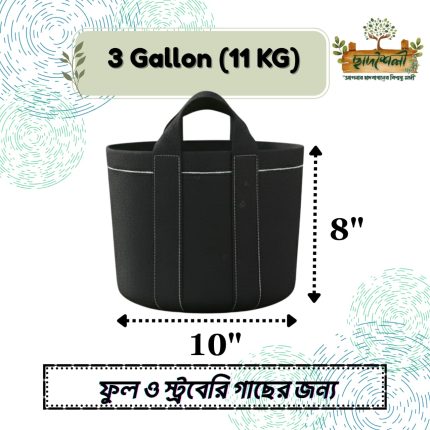 3 Gallon (11 KG)